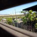 La magie du Bassin d'Arcachon