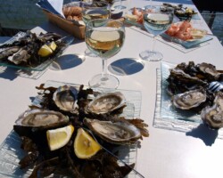 Incontournables huitres du Bassin d'Arcachon