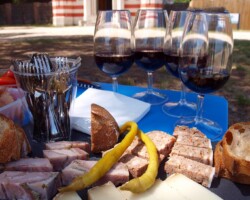 Dégustation dans un lieu insolite !