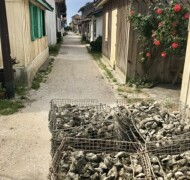 Le Canon & L'Herbe <br /> Grand Food Tour 4h ~6km<br />à pied ou à vélo | en privatif CAP Gourmand privatif